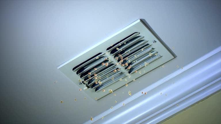 Best Commercial HVAC Duct Cleaning  in Lake Placid, FL