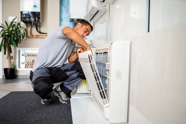 Best Air Vent Cleaning Services  in Lake Placid, FL